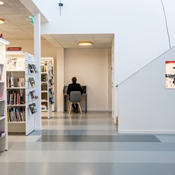 Krokoms Bibliothek, Schweden