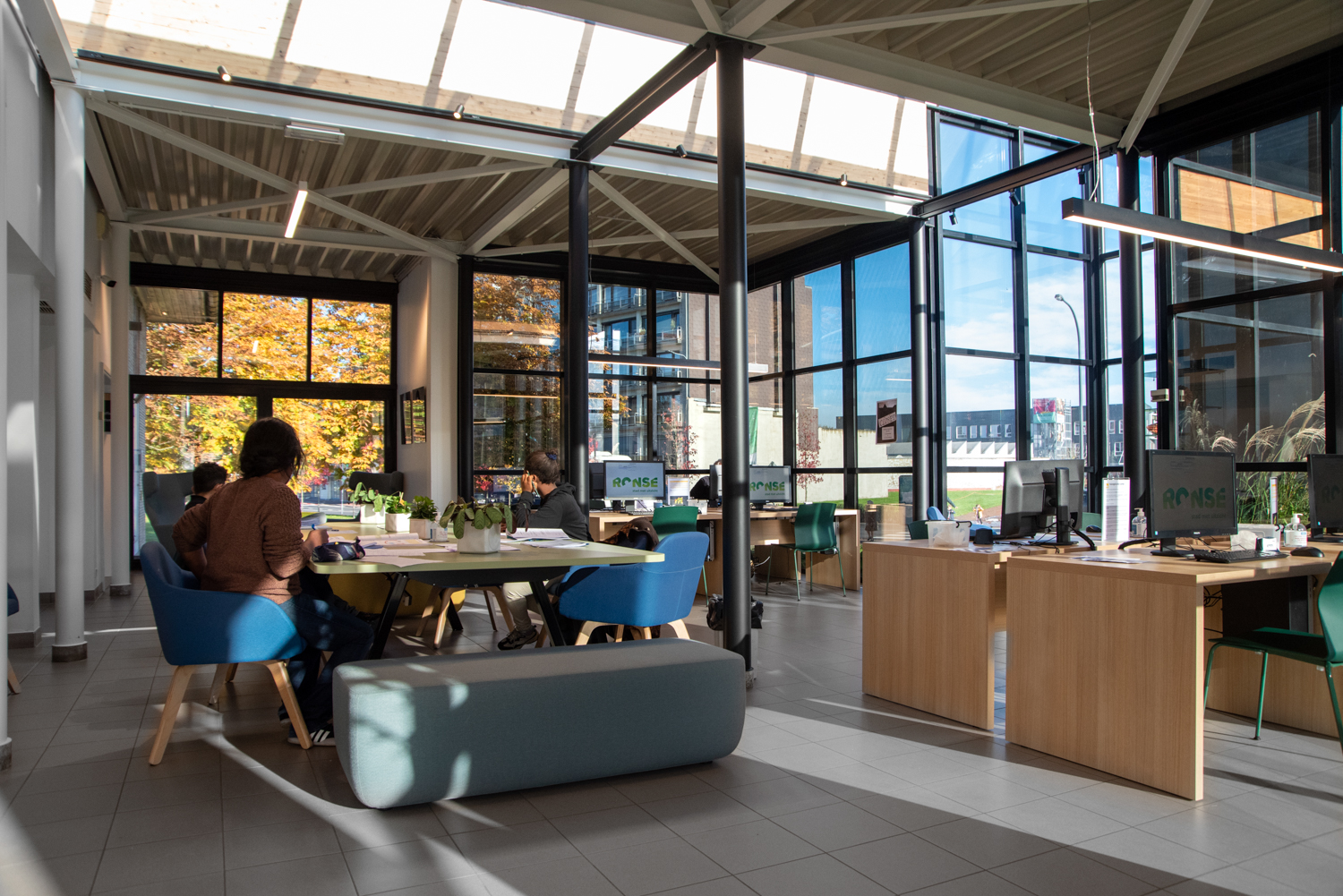 Ronse Bibliothek, Belgien