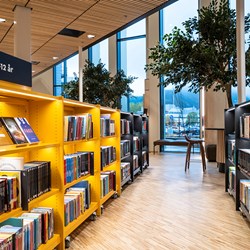 Åsane Bibliothek, Norwegen