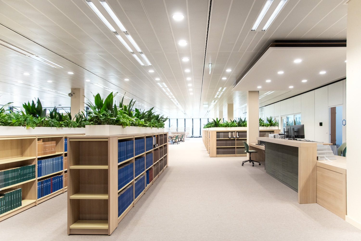 Aussicht ins Grüne und in die Natur